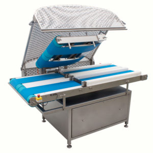 fileteadora industrial ebaki 2w con la prensa levantada